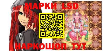 МДПВ Новозыбков