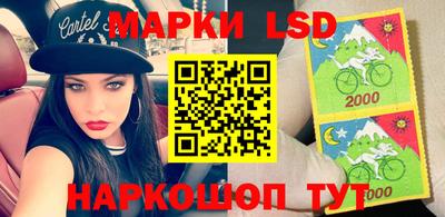 МДПВ Новозыбков