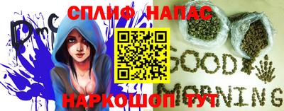 амф Новодвинск