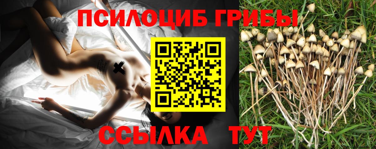 Туапсе  Псилоцибиновые грибы GOLDEN TEACHER  Вход с VPN  Псилоцибиновые грибы Magic Shrooms 